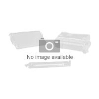 HP Everyday pigment ink satin Foto Papier inkjet 235g/m2 1067mm x 30.5m 1 Rolle 1er-Pack