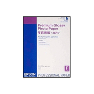 EPSON Premium  glänzend  Foto Papier inkjet 250g/m2 A2 25 Blatt 1er-Pack