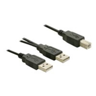 DELOCK Kabel USB 2.0 B - > USB-A Power + Power / Data