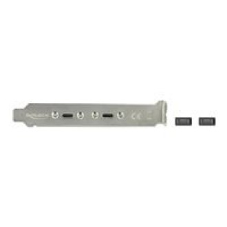 DELOCK Slotblech mit 2 x USB Type-C Port