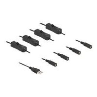 DELOCK Kabel USB Typ-A Stecker zu 4xDC 5,5x2,1mm Buchse mit Schalter 1m
