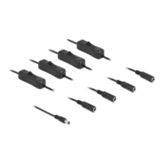DELOCK Kabel DC 5,5x2,1mm Stecker zu 4xDC Buchse mit Schalter 1m