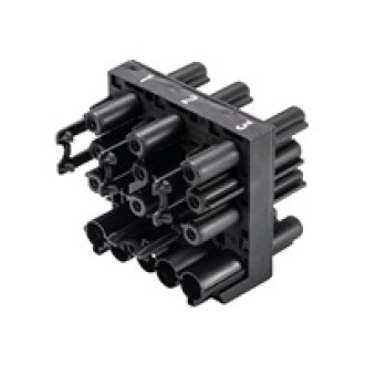 BACHMANN Wieland Verteilerblock GST18 GST18 1xIn 5xOut
