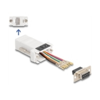 DELOCK D-Sub 9 Pin Buchse zu RJ45 Buchse Montagesatz weiss